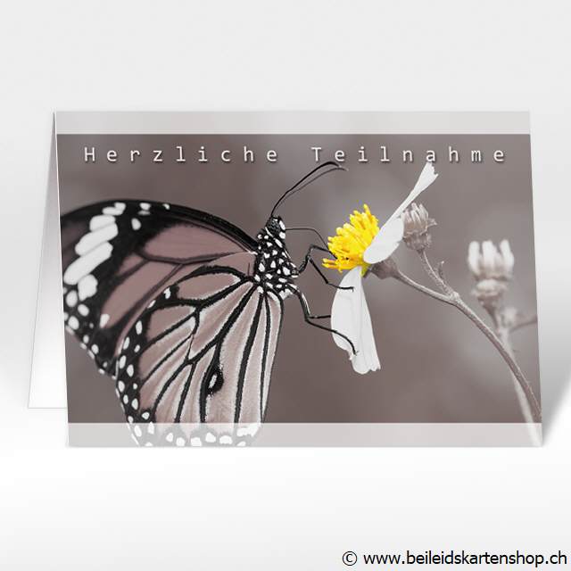 Beileidskarten mit Schmetterling und Blume