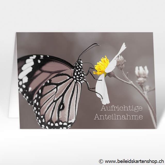 Beileidskarte mit Schmetterling und Blume