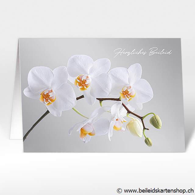 Beileidskarte "Orchidee"