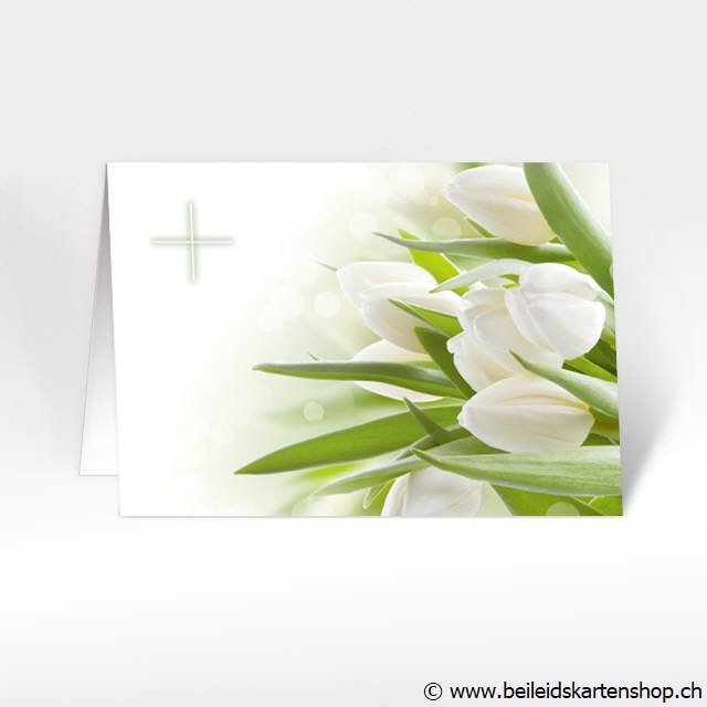 Beileidskarten und weisse Tulpen